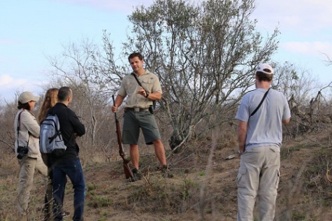 Bryce leads educational bush walks directly from the lodge. 