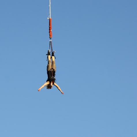 Bungee jump from Bloukrans Bridge.Photo credit: Shutterstock