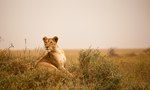 Photo credit: Etienne Oosthuizen