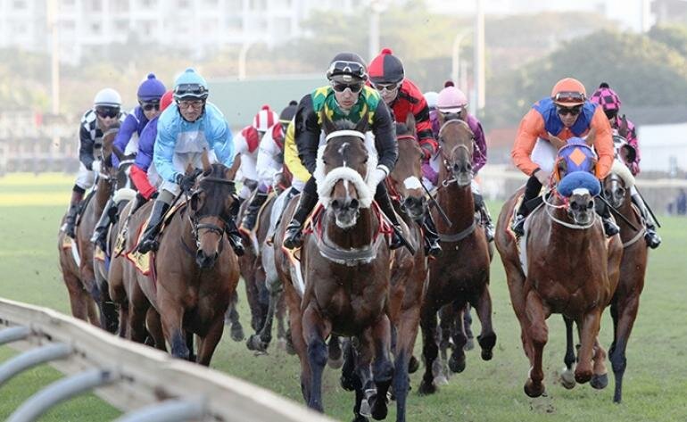 Away they go - to a racing lifestyle! Away they go - to a racing lifestyle!