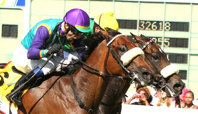 Close finish, Photo by Liesl King Photography running, horse racing, equistrain, Royal Showground, Pietermaritzburg