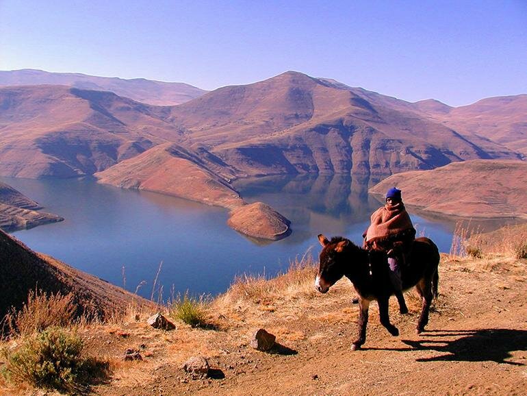 Pony trekking Pony trekking