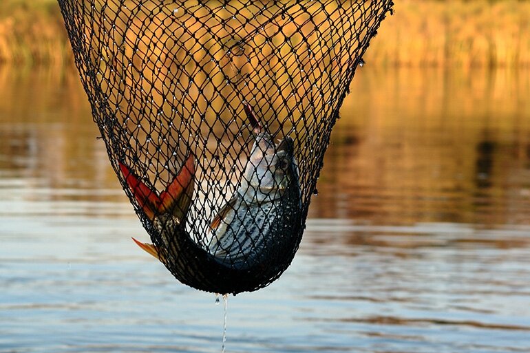 Tiger fishing is just one of the activities to keep you entertained at nXamaseri. Tiger fishing is just one of the activities to keep you entertained at nXamaseri.