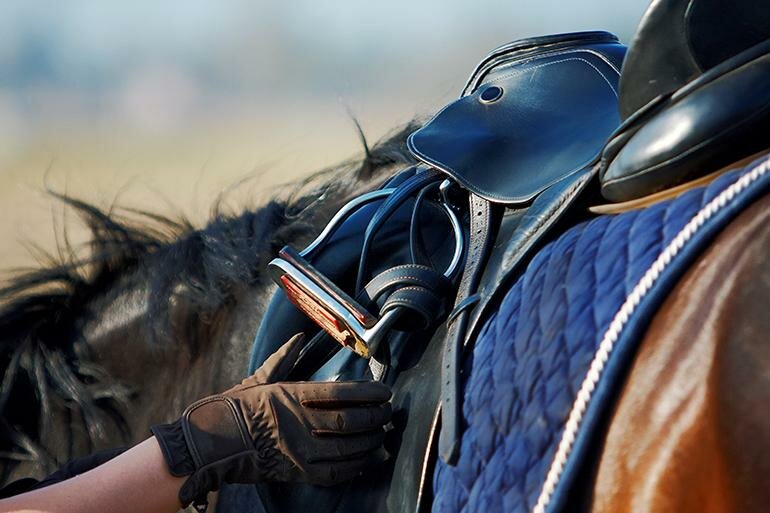 Hooked on horses Hooked on horses