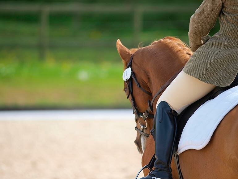 Hooked on horses Hooked on horses
