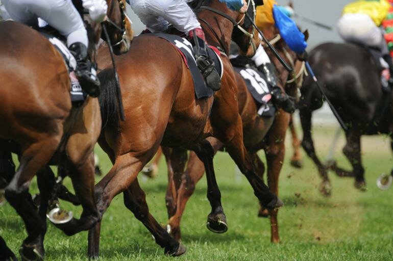 The sport and business of horse racing do it now magazine, doitnow, horse racing, equistrain, jockey, turfontein