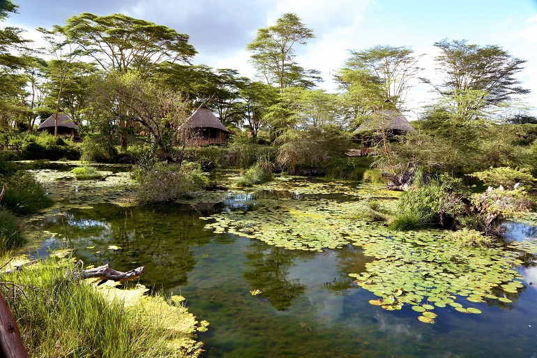 The luxury camp is set on 35 acres of unadulterated wilderness approximately 300km from Nairobi in the heart of the Tsavo West National Park.