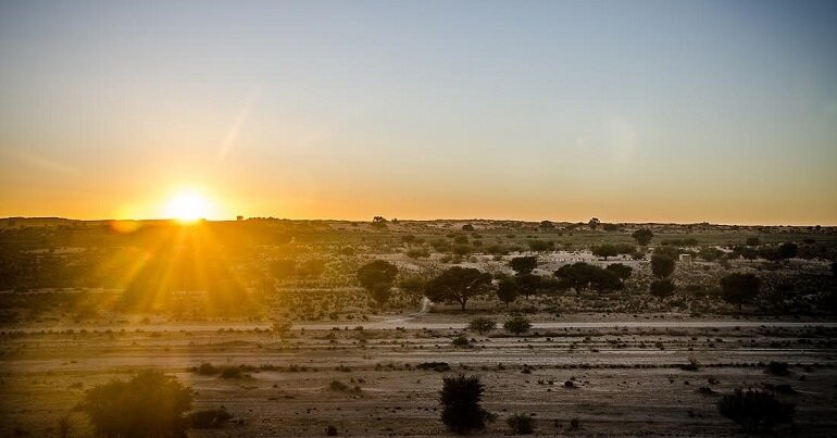 Kgalagadi Lodge, situated between the red sand dunes of the Kalahari, is the ideal desert haven where modern meets wilderness.