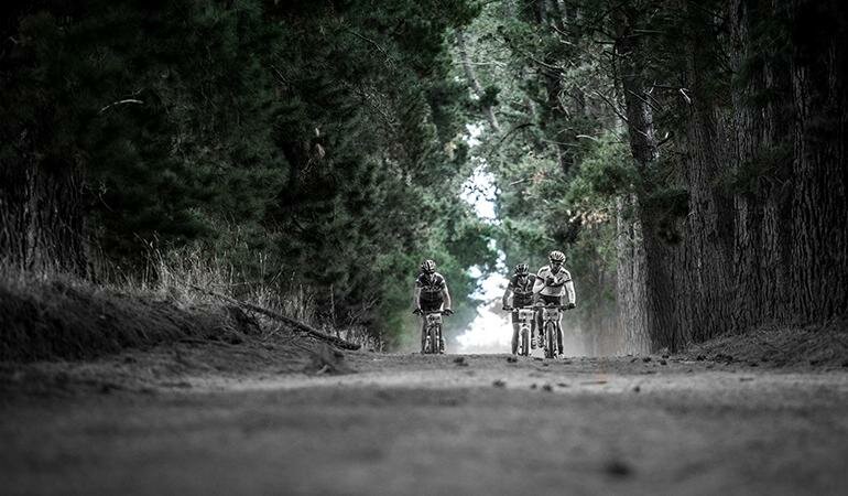 Night of the long ride