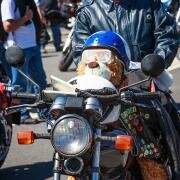 Photo credit: Chris Hitchcock do it now, doitnow, do it now magazine, toy run 2013, Italian Motorcycle Owners Club (IMOC), orphanages, charity, motorbikes, donate