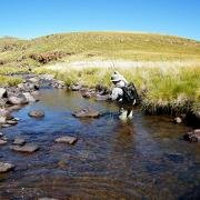 Boarman's Chase, Rhodes. do it now, doitnow magazine, fishing, Somerset East, Naudeshoek Spruit, nature, winterberg, north east cape, south eastern karoo