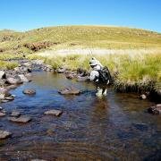 do it now, doitnow magazine, fishing, Somerset East, Naudeshoek Spruit, nature, winterberg, north east cape, south eastern karoo