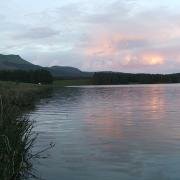 Doctor's Creek, Gubu Dam, Stutterheim. do it now, doitnow magazine, fishing, Somerset East, Naudeshoek Spruit, nature, winterberg, north east cape, south eastern karoo