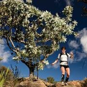 Image 3: In Full Fynbos Flight