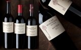 Taste Exceptional Wines at Nedbank Cape Winemakers Guild Auction Showcase